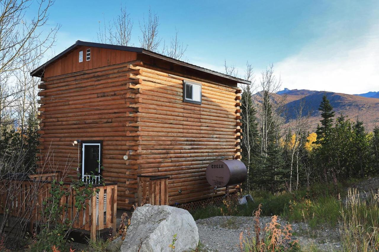 Denali Park View Family Log Cabin Exterior photo